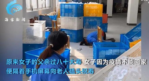 千里一拜 工厂女工与八十老父的隔屏凝视